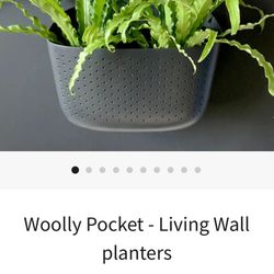 Woolly Pocket - Living Wall planters ; Garden; Gardening; Indoor Plants; Set Of Two In Light Grey. 