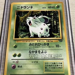 pokemon cards jungle set Buy Pokefan Pokemon Jungle Set Booster 1st Edition English main image 1