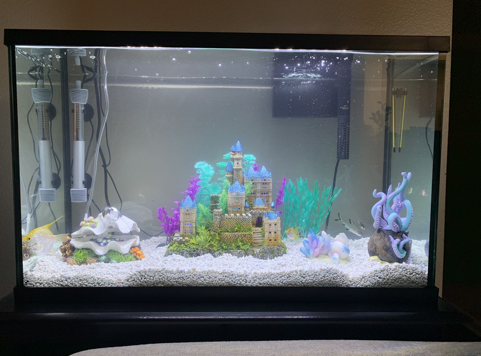 29 Gallon Fish Tank With Stand