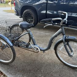 Adult Tricycle