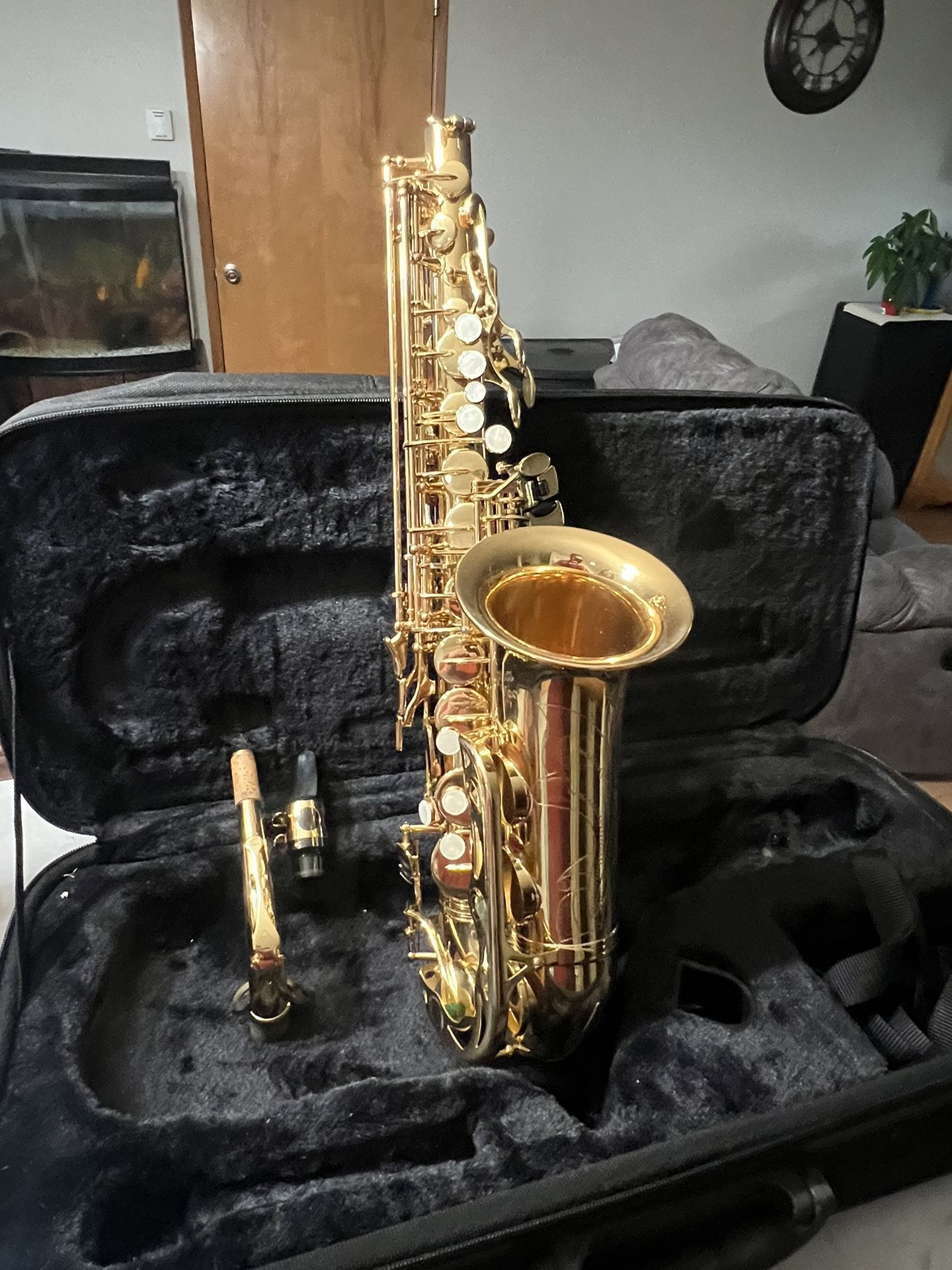 Alto Saxophone And Clarinet