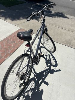 Men’s Bike