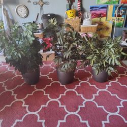 3 Fake Plants