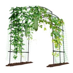 Garden Arch 86.6”H