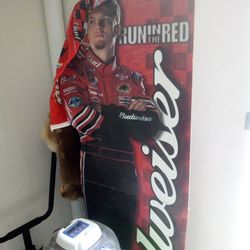 Dale Earnhardt Jr Vintage Cardboard Cutout Standup Display And Racing Flag