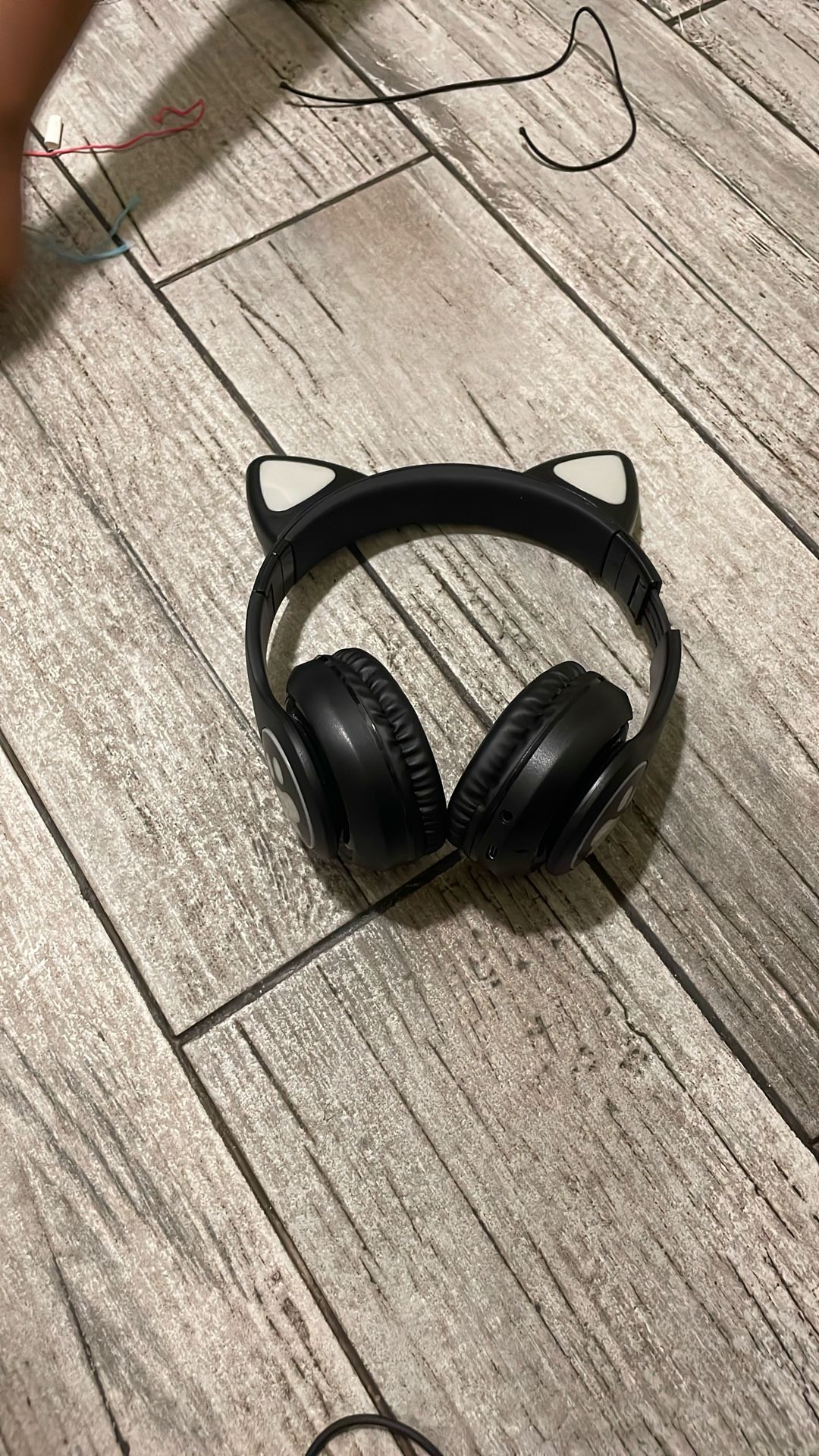 Cat Headphones