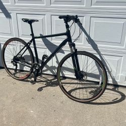 Trek Dual Sport 8.5  Bike 