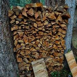 FIREWOOD