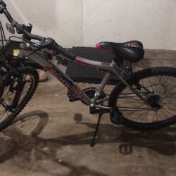 Schwinn Ranger Bike 24”