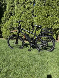 Ebike - Rad Rover E-bike  (1 of 2)