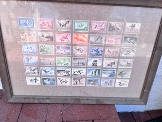Framed Historic US federal duck stamp design poster