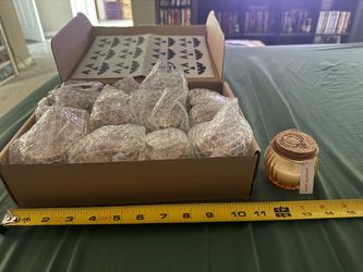 $15 New 12ct pumpkin spice candles for Halloween!