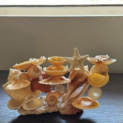 Shell stand jewelry holder
