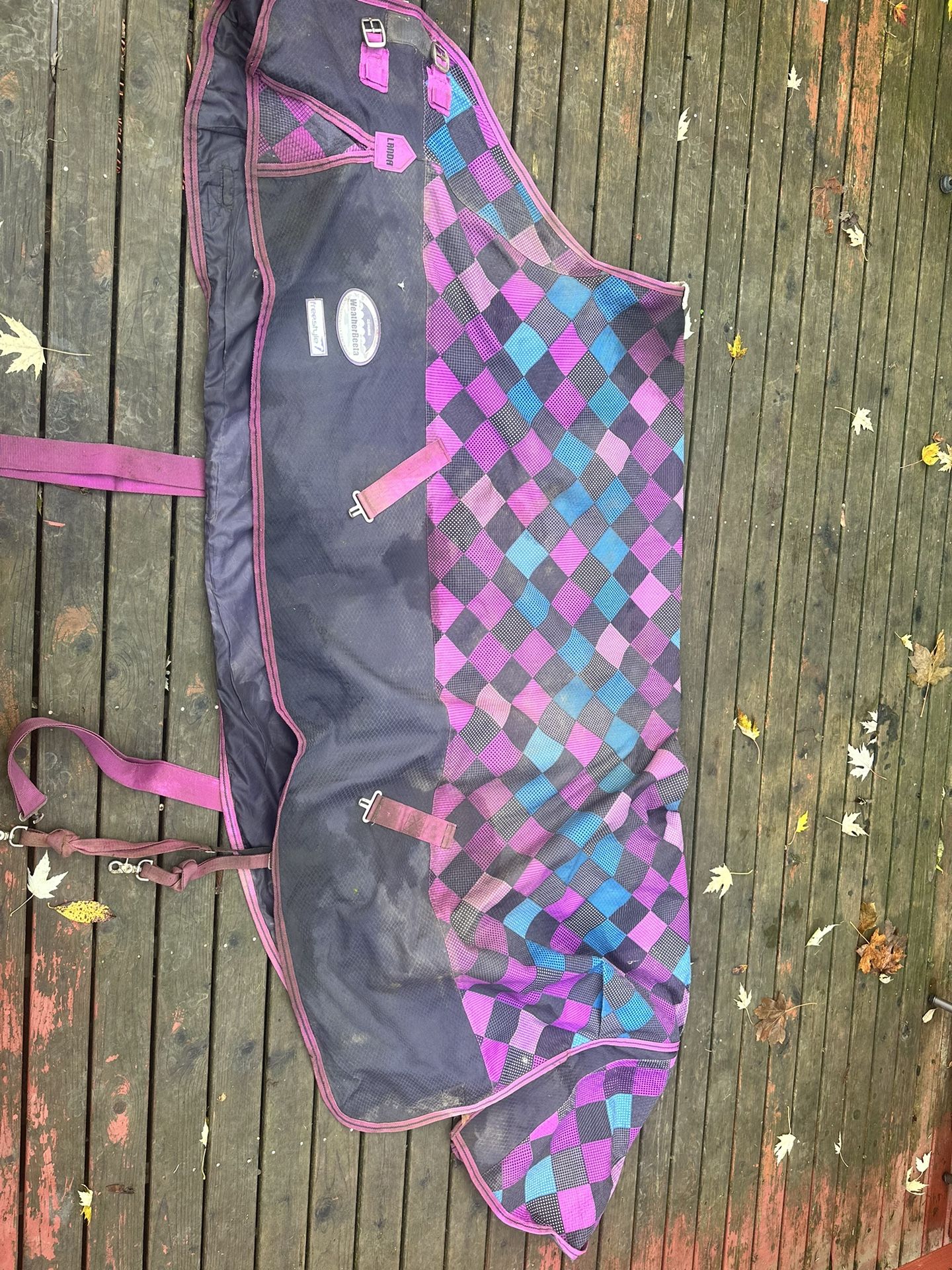 Horse Blanket For Sale