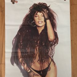 1980s Apollonia Kotero Poster