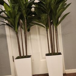 ASTIDY Artificial Dracaena Tree 5FT - Faux Tree With White Tall Planter - Fake Tropical Yucca Floor Plant In Pot - Artificial Silk Tree For Home Offic