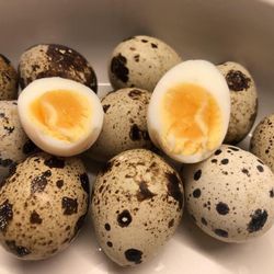 Jumbo Coturnix Quial Eggs 