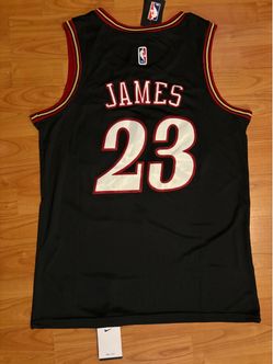 LeBron James  76ers jersey