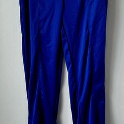 Blue Dress Pants, Large