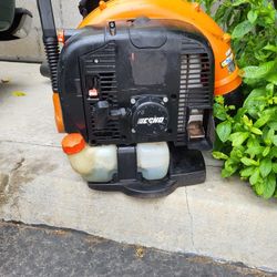Echo Blower
