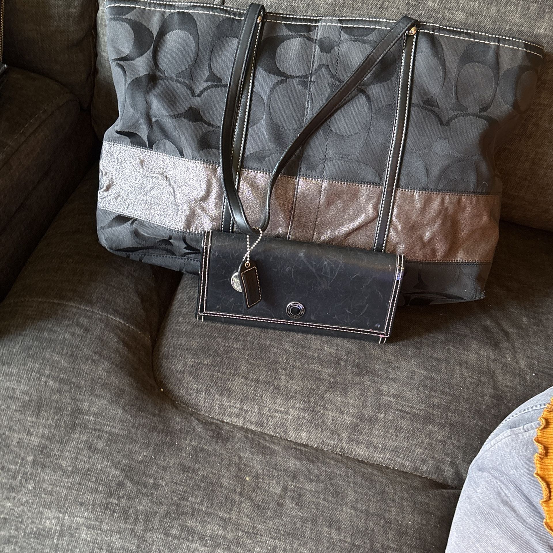Posting In Baldwin Park Coach Purse