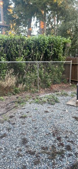 Chain link fencing