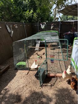 Omlet cage part only
