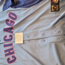 Chicago Cubs Ron Santo Jersey 