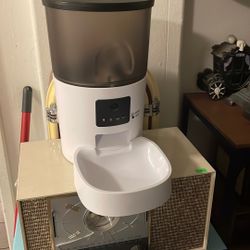 automatic cat feeder