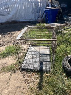 dog cage