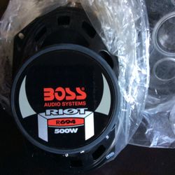 Boss Audio Systems RIot Speakers