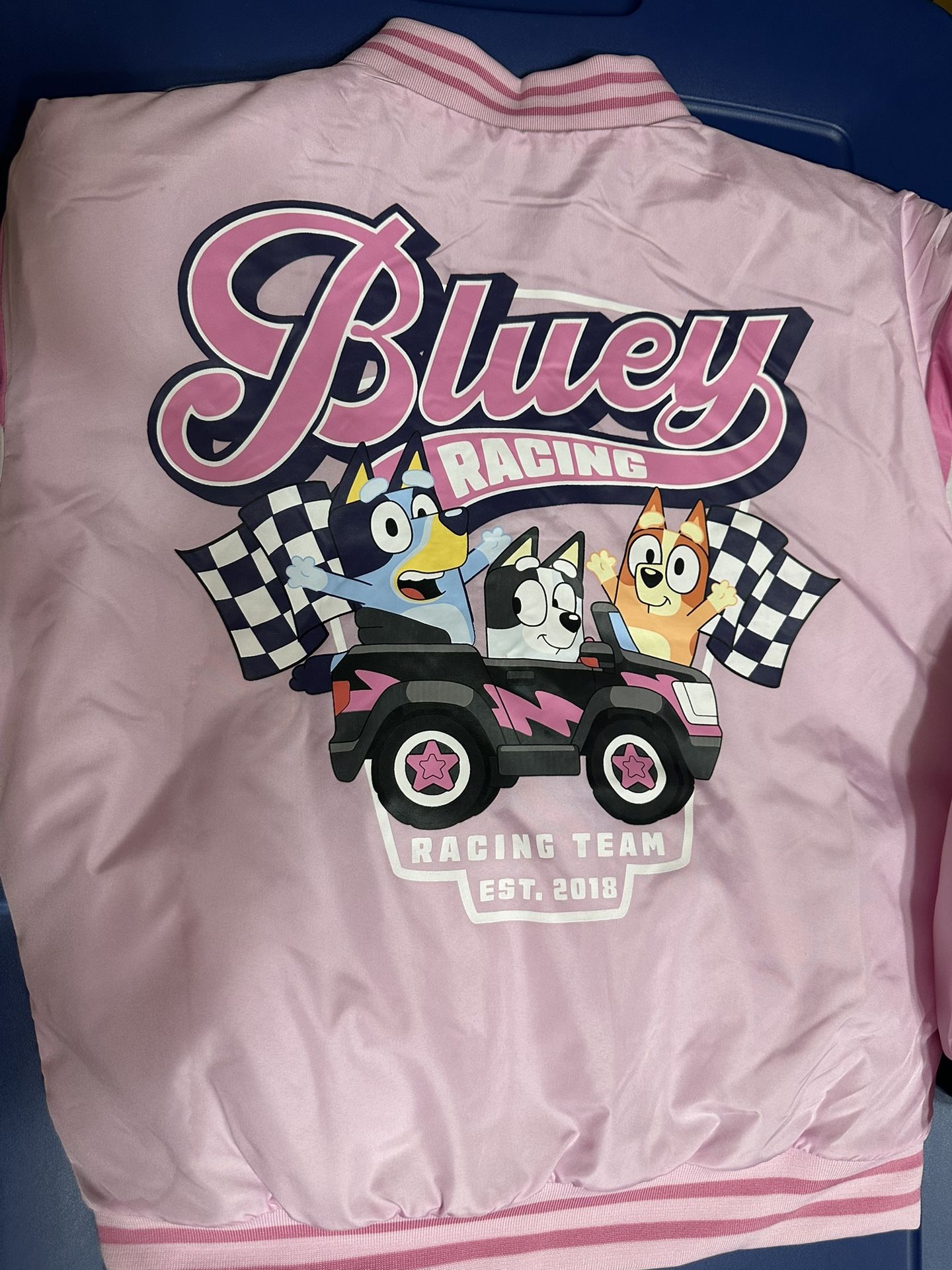 Bluey Bomber Jacket Girls Size 10/12