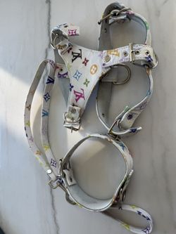 Dog Collar, Harness, Leash Set