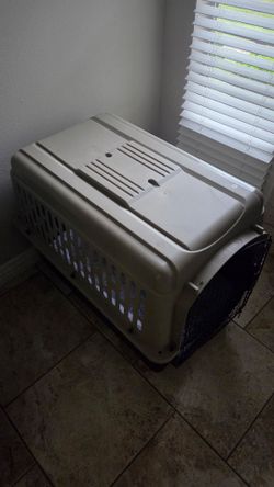 Large dog crate