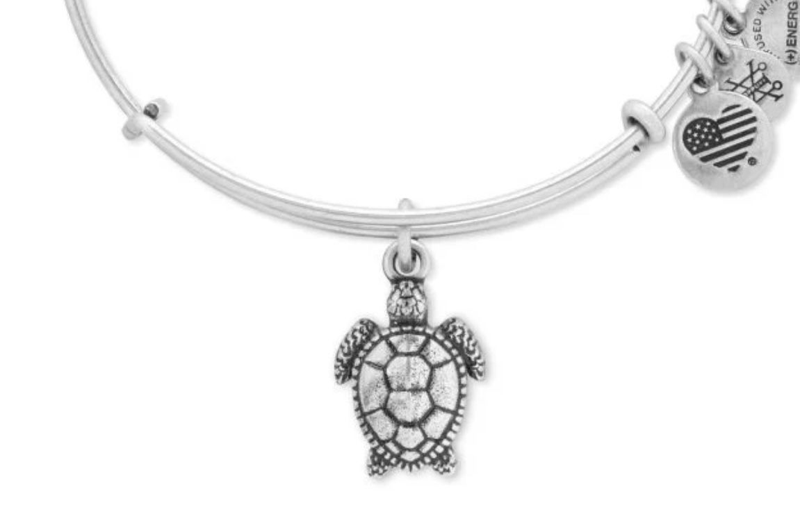 Alex and Ani Silver Sea Turtle Bangle Bracelet