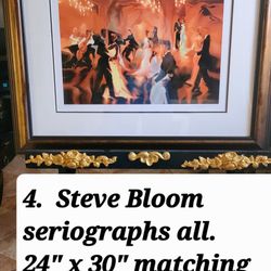 Four.       Steve. Bloom. Seriographs All In Excellent Condition  With Matching Frames 