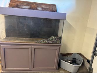 Fish tanks