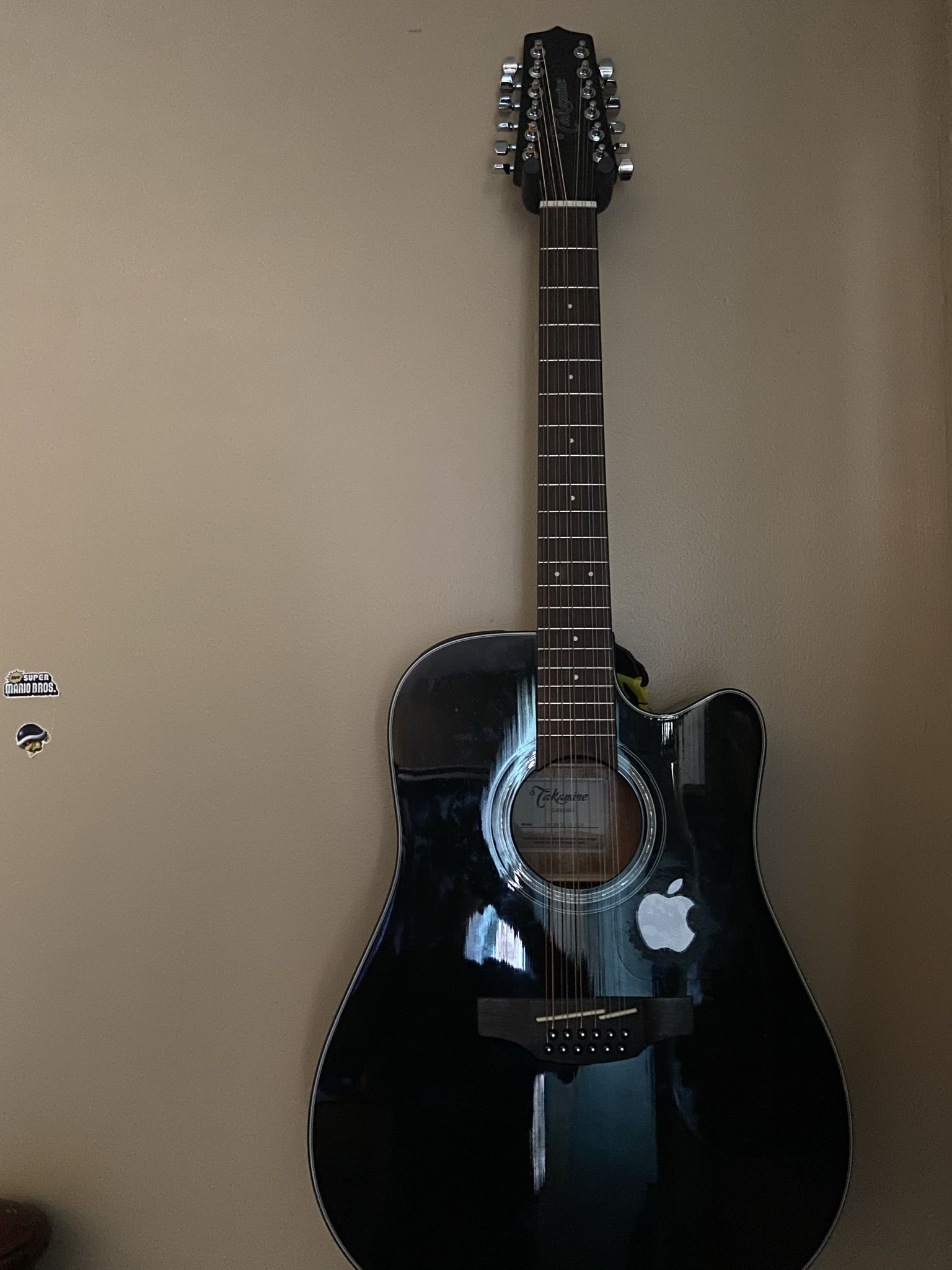 Takimane G Series 12 String Black With New Strings