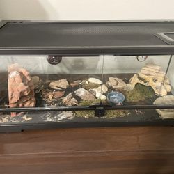 Thrive Tropical Reptile Terrarium 20 Gallon