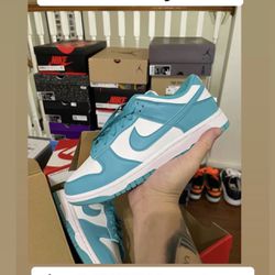 dunk low dusty cactus 7Y/8.5W BRAND NEW