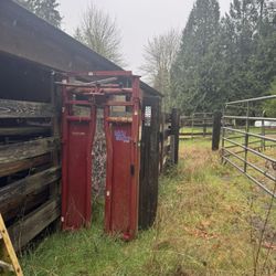 Automatic Cattle Headgate