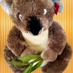 FAO Koala Bear 