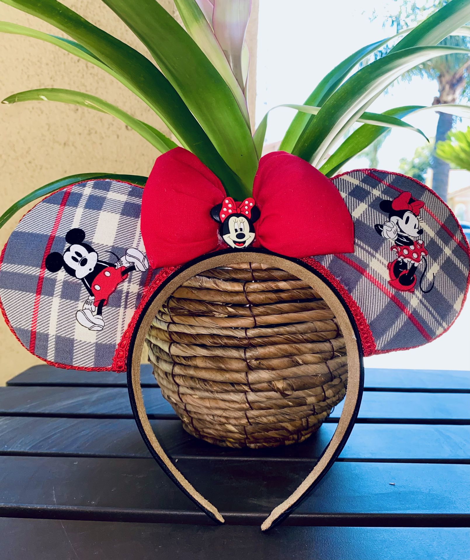 Disney Ears Minnie And Mickey 