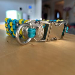 Stainless Steel Dog Color 