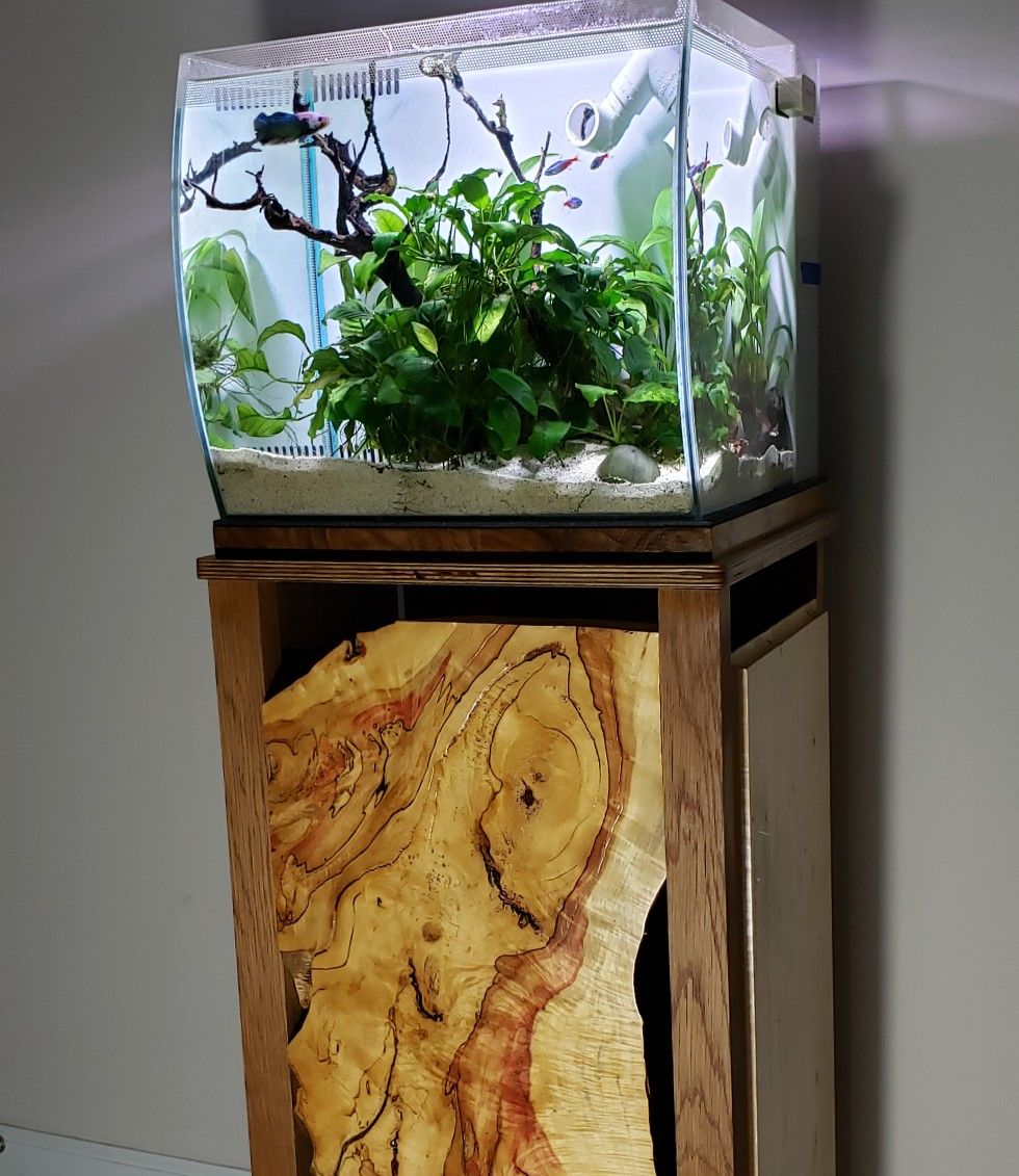 Fluval flex 15 gallon aquarium for Sale in Williamsburg, VA OfferUp