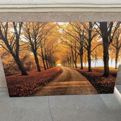 Fall Canvas Picture
