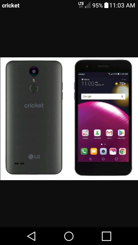 Lg fortune cricket