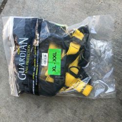 Harness And Lanyard