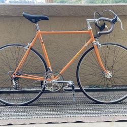 Colnago 