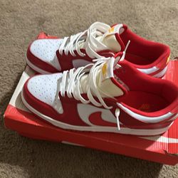 Nike SB